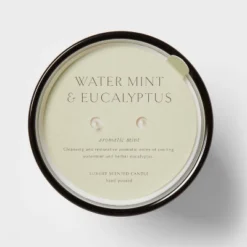 Colored Vase Glass With Dustcover Watermint And Eucalyptus Candle Green - Threshold™ 10 Colored Vase Glass With Dustcover Watermint And Eucalyptus Candle Green - Threshold™ -Threshold Home Outlet Store GUEST 138a925b cebc 4734 877a 32f650153977