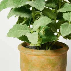 Artificial Potted Mint Leaf - Threshold™ Designed With Studio McGee -Threshold Home Outlet Store GUEST 19a08200 78b7 461e bcd9 c962450d4305