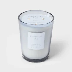 Colored Vase Glass With Dustcover Rainwater Lily Candle Gray - Threshold™ 11 Colored Vase Glass With Dustcover Rainwater Lily Candle Gray - Threshold™ -Threshold Home Outlet Store GUEST 1a738ead 7e7a 4f46 b4ff 79439b3488d0