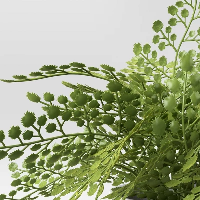 Small Fern In Modern Pot Maiden Hair Arrangement - Threshold™ 2 Small Fern In Modern Pot Maiden Hair Arrangement - Threshold™ - Image 2