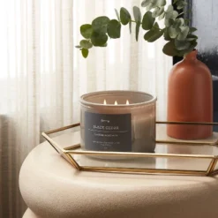 14oz Lidded Gray Glass Jar Crackling Wooden 3-Wick Candle With Paper Label Black Cedar - Threshold™