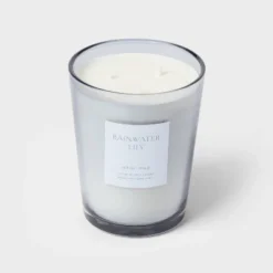 Colored Vase Glass With Dustcover Rainwater Lily Candle Gray - Threshold™ 9 Colored Vase Glass With Dustcover Rainwater Lily Candle Gray - Threshold™ -Threshold Home Outlet Store GUEST 4dd3a894 6c80 4248 a2de 93743bf8dee9