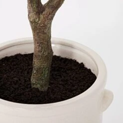76.5"x 30" Artificial Olive Tree In Ceramic Pot - Threshold™ Designed With Studio McGee 5 76.5"x 30" Artificial Olive Tree In Ceramic Pot - Threshold™ Designed With Studio McGee -Threshold Home Outlet Store GUEST 5f1c0b63 d965 4bfb 9559 6084dae15f92