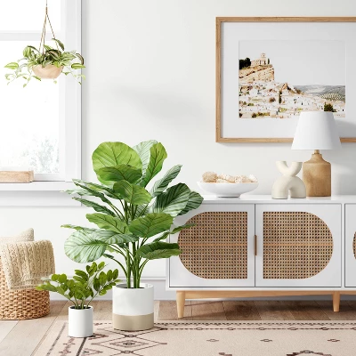 Large Variegated Plant - Threshold™ 1 Large Variegated Plant - Threshold™