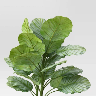 Large Variegated Plant - Threshold™ 2 Large Variegated Plant - Threshold™ - Image 2