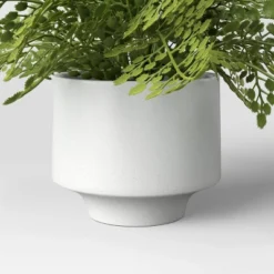 Small Fern In Modern Pot Maiden Hair Arrangement - Threshold™ 5 Small Fern In Modern Pot Maiden Hair Arrangement - Threshold™ -Threshold Home Outlet Store GUEST 75fb7d8f c213 4761 a51b b27751ab80ae