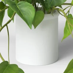 14" X 28" Artificial Pothos Plant In Pot - Threshold™ 5 14" X 28" Artificial Pothos Plant In Pot - Threshold™ -Threshold Home Outlet Store GUEST 77645a5a ed62 441a a2f5 00e7843163d8