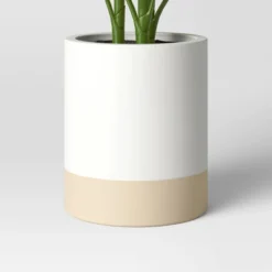 Large Variegated Plant - Threshold™ 5 Large Variegated Plant - Threshold™ -Threshold Home Outlet Store GUEST 7d5c4722 8e80 4f51 9089 0f72358617e5