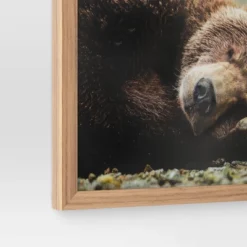 20" X 16" Bear Photography Framed Art Brown - Threshold™ 5 20" X 16" Bear Photography Framed Art Brown - Threshold™ -Threshold Home Outlet Store GUEST 8d29808a 8d0a 4121 a8c8 64d15cc45658