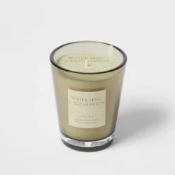 Colored Vase Glass With Dustcover Watermint And Eucalyptus Candle Green - Threshold™ 13 Colored Vase Glass With Dustcover Watermint And Eucalyptus Candle Green - Threshold™ -Threshold Home Outlet Store GUEST ae8e6bdf 6741 4047 bc7b 87c9f71c548e