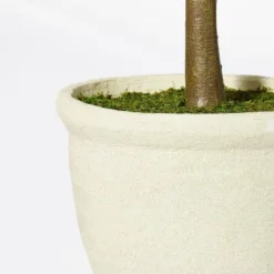 Ficus Tree - Threshold™ Designed With Studio McGee 5 Ficus Tree - Threshold™ Designed With Studio McGee -Threshold Home Outlet Store GUEST b527c49c 40e7 4f4d 8026 e60817b7e327