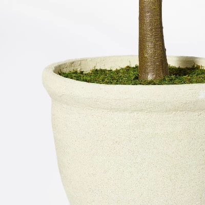 Ficus Tree - Threshold™ Designed With Studio McGee 3 Ficus Tree - Threshold™ Designed With Studio McGee - Image 3