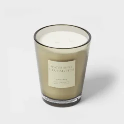 Colored Vase Glass With Dustcover Watermint And Eucalyptus Candle Green - Threshold™ 9 Colored Vase Glass With Dustcover Watermint And Eucalyptus Candle Green - Threshold™ -Threshold Home Outlet Store GUEST c7ced8f8 1486 4167 bf53 4e77271a3df4
