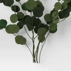 Preserved Eucalyptus Bundle - Threshold™ -Threshold Home Outlet Store GUEST c7dd4b87 faec 4ba4 94c4 c0953dd894d7