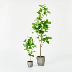 Banyan Leaf Potted Tree - Threshold™ Designed With Studio McGee -Threshold Home Outlet Store GUEST e0836b00 df5f 43ba bf4c e16aa35005ea