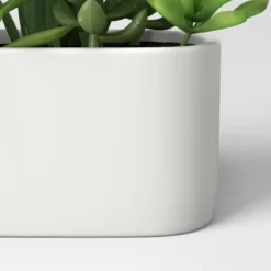 Artificial Succulents In Long Pot White - Threshold™ 5 Artificial Succulents In Long Pot White - Threshold™ -Threshold Home Outlet Store GUEST f79b6fcf 8ef8 4625 9b16 aae3d7b9b7ca